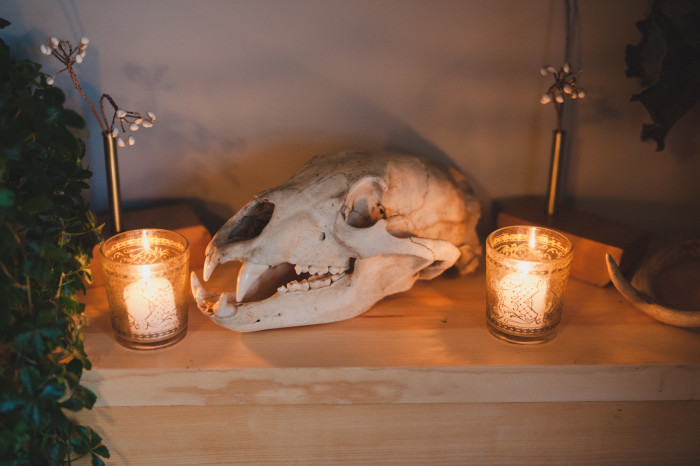 View More: http://robcampbellphotography.pass.us/mediacoredinnertheatre